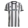 8610 MAILLOT JUVENTUS VLAHOVIC DOMICILE 2022 2023