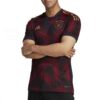 10695 MAILLOT ALLEMAGNE EXTERIEUR 2022 2023